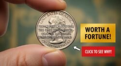 From Pocket to Fortune: This Rare 2004 Error Quarter Is Turning Spare Coins Into Gold